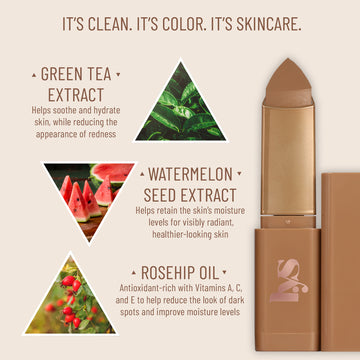 Triple Fix Blurring Skin Tint Foundation Stick